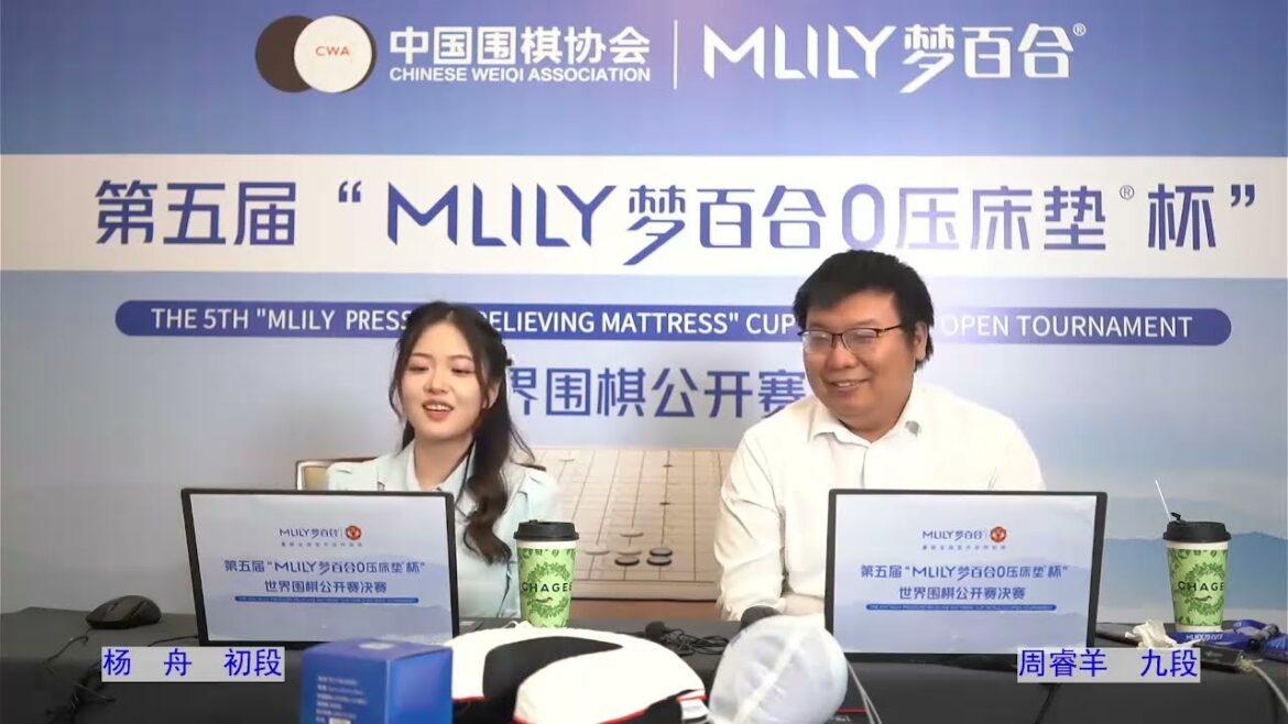 [中国围棋协会直播] 20240429 第5届梦百合杯决赛第1局 党毅飞vs李轩豪 3/4