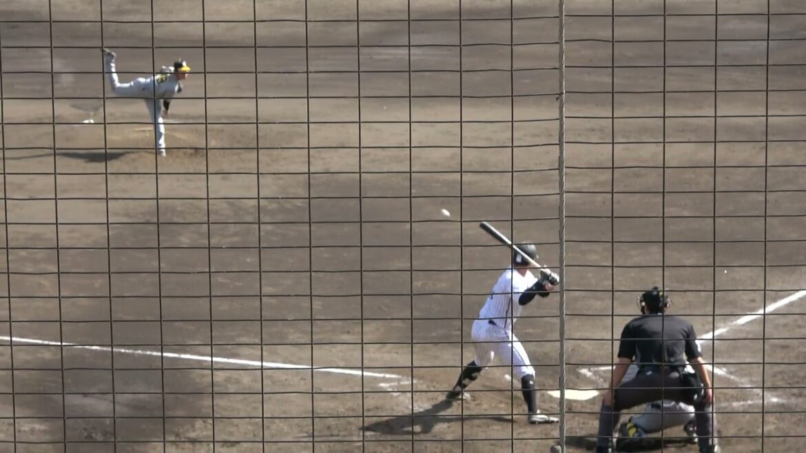 くふうハヤテベンチャーズ 居谷匠真選手 第3打席 セカンドゴロ 2024/4/19 ちゅーるスタジアム VS 阪神タイガース 茨木秀俊投手