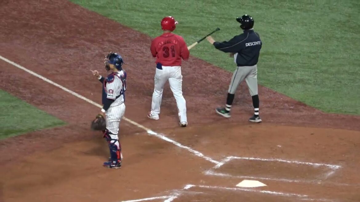 【坂倉将吾】打つ気満々で打席に入るも申告敬遠を言われビックりする 現地映像