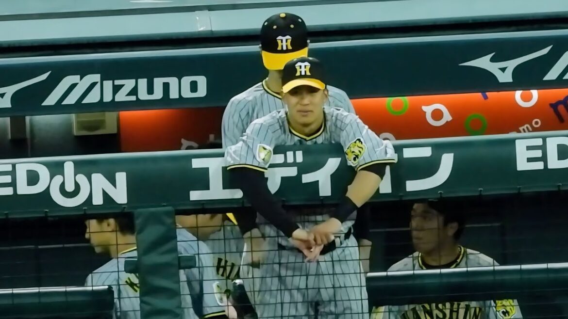 【海さん邪魔やw】仲良すぎ！意地悪した植田先輩をどつく小幡竜平 2024.4.30