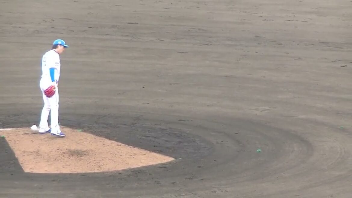 【野球選手フォーム集】宮西尚生2024年の投球フォーム（2024年4月23日 日本ハムファイターズ対 横浜DeNAベイスターズ 2軍）