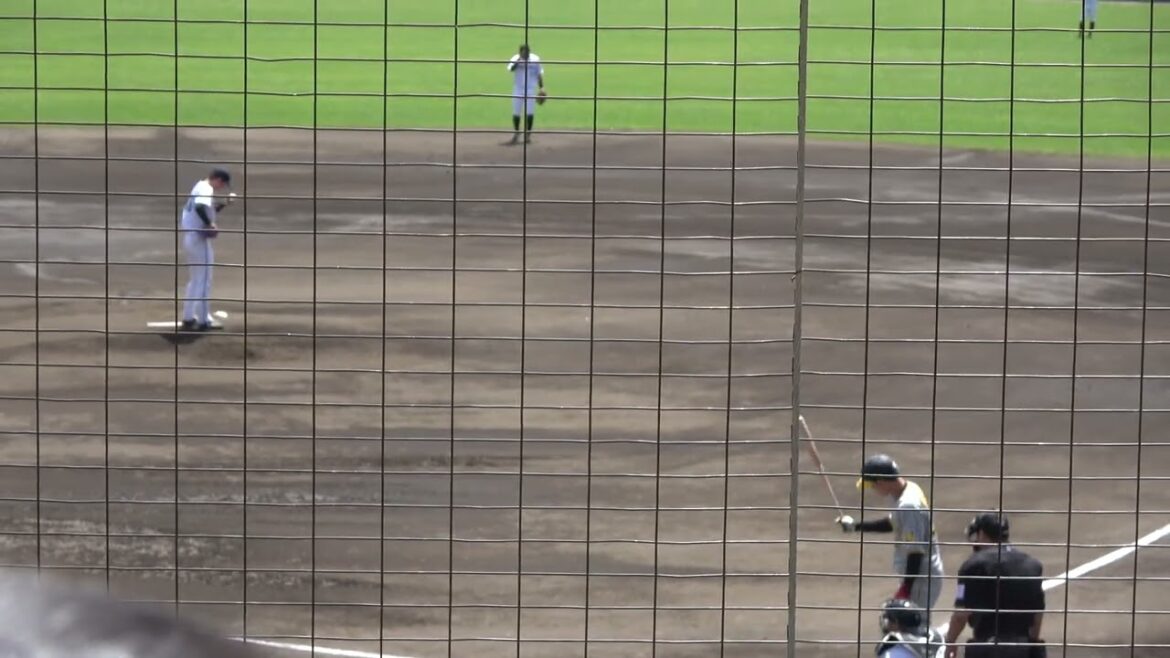阪神タイガース 髙寺望夢選手 第1打席 セカンドゴロ 2024/4/19 ちゅーるスタジアム VS くふうハヤテベンチャーズ 奥田域太投手