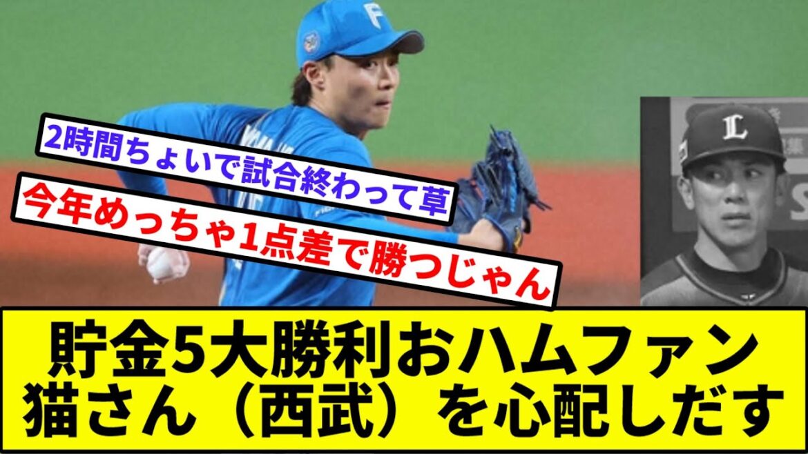 【福也マダックス未遂】貯金5大勝利おハムファン、猫さん（西武）を心配しだす【なんJ反応】【プロ野球反応集】【2chスレ】【1分動画】【5chスレ】【ハム】【オリ】【ソフトバンク】【楽天】【ロッテ】