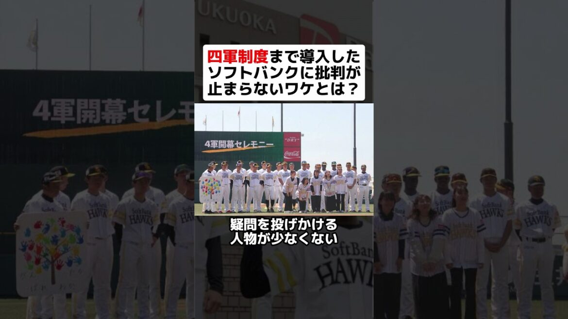 四軍制度まで導入したソフトバンクに批判が止まらないワケとは？ #shorts #野球 #プロ野球 #野球ネタ #福岡ソフトバンクホークス #デメリット #里崎智也 #和田毅 #育成