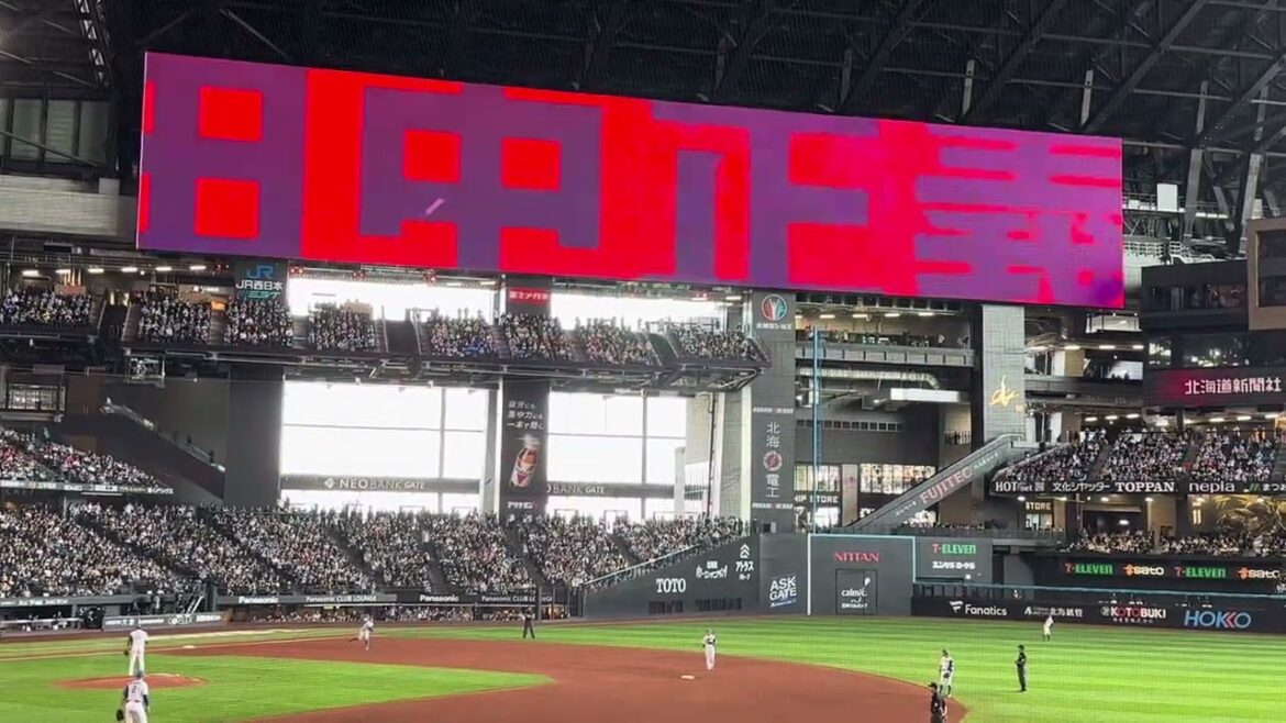 北海道日本ハムファイターズ 田中正義登場曲 2024.4.29 エスコンフィールドHOKKAIDO