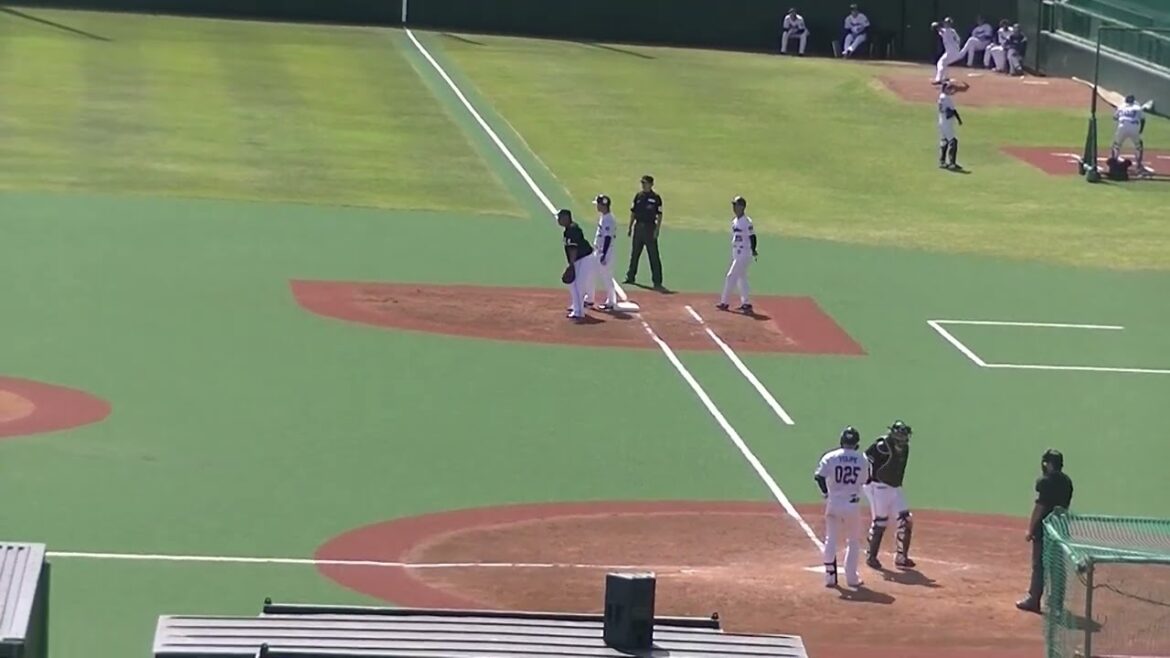 スワローズ フェリペ 犠牲フライで追加点【ヤクルトスワローズ対 千葉ロッテマリーンズ イースタン2024年4月19日】