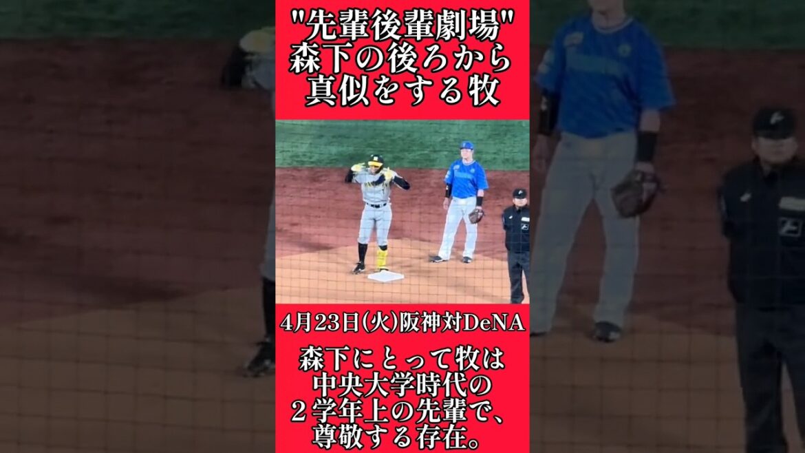 【阪神】森下翔太の後ろで真似をする牧！ #阪神 #阪神タイガース #森下翔太  #shorts