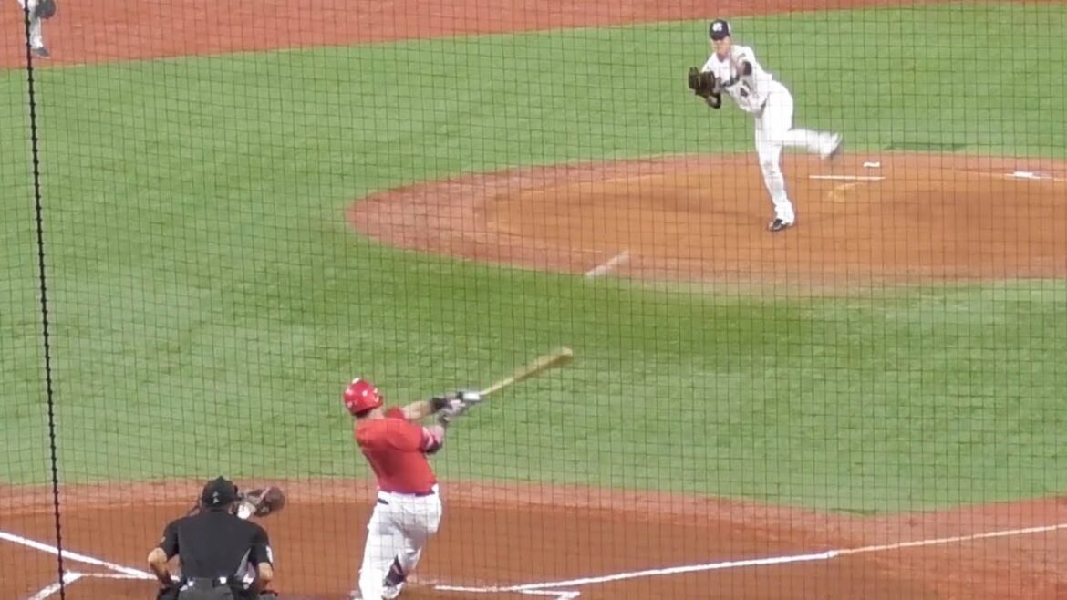 絶好調の野間峻祥！初回ライトへのタイムリーヒットで広島カープ先制！2024年4月25日