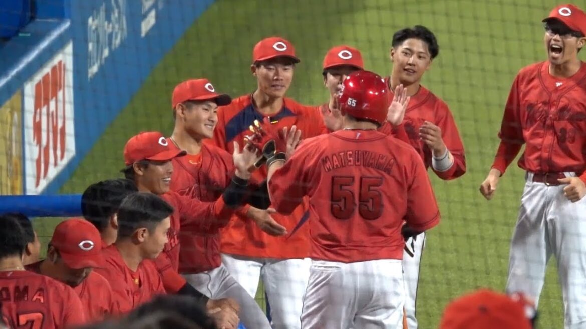 松山竜平 特大ファールで笑いも取るししっかりヒットも打つ！ライト前ヒット 広島東洋カープ 2024/04/25