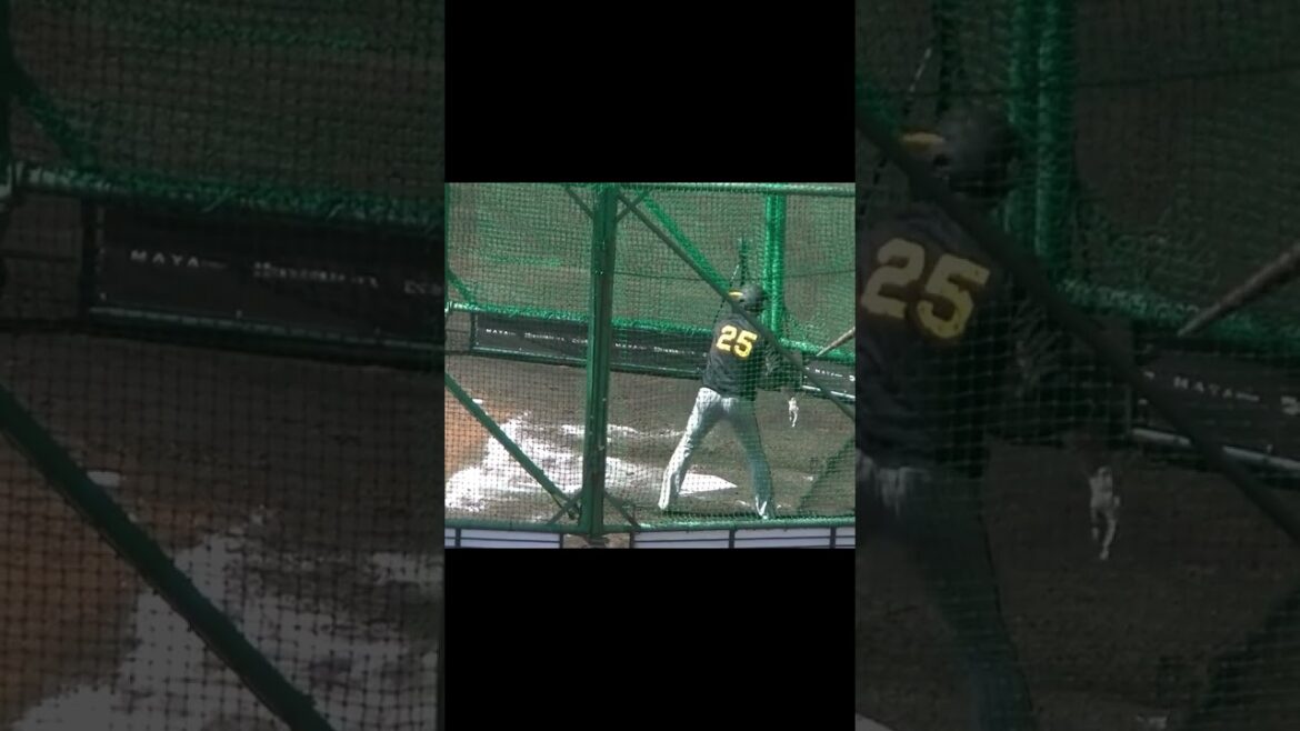 渡邉諒のフリーバッティング【2024年2月23日 阪神タイガース試合前練習風景】