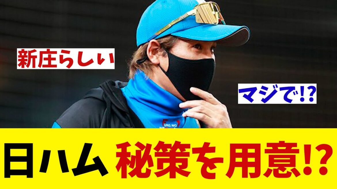 日本ハム　秘策を用意して本気モード突入か・・・！？【野球情報】【2ch 5ch】【なんJ なんG反応】
