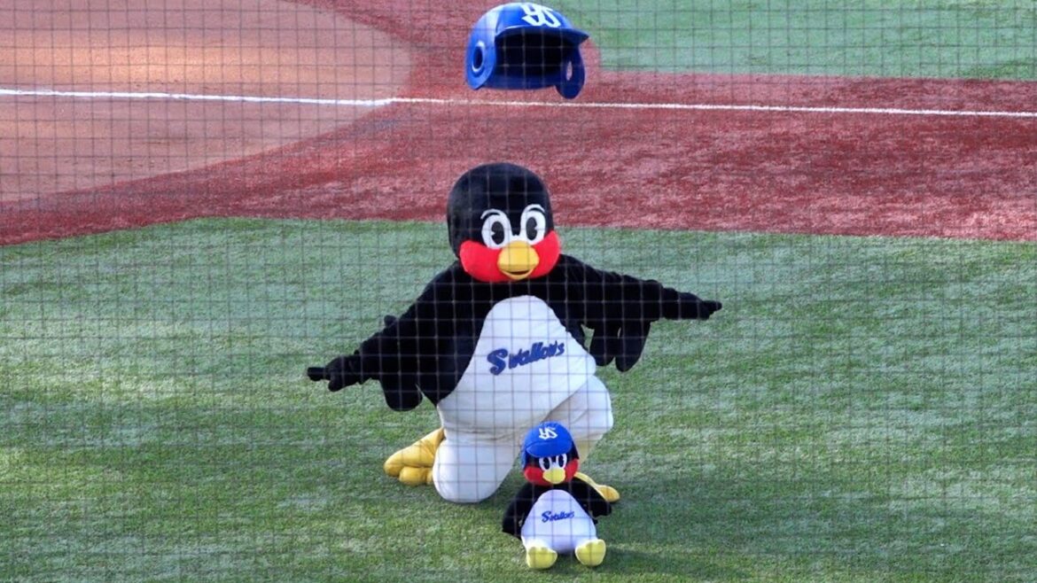ヘルメットが乗っかった！これは凄い！つば九郎の空中くるりんぱ！2024/05/03 東京ヤクルトスワローズ