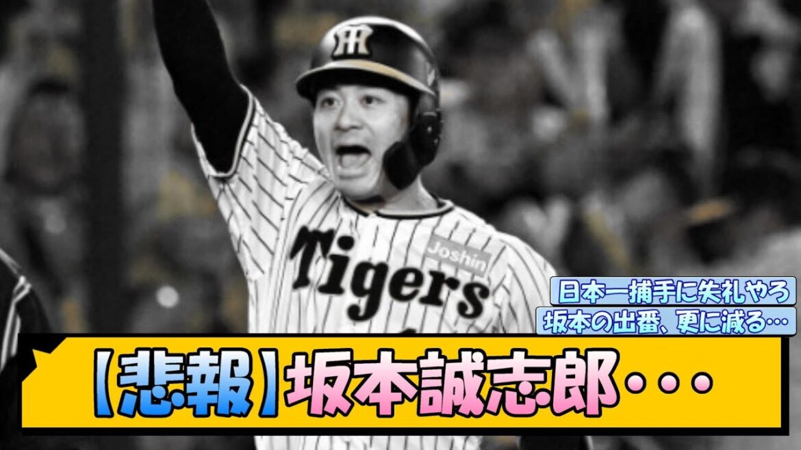 【悲報】坂本誠志郎・・・【なんJ/2ch/5ch/ネット 反応 まとめ/阪神タイガース/岡田監督/梅野隆太郎/門別啓人】