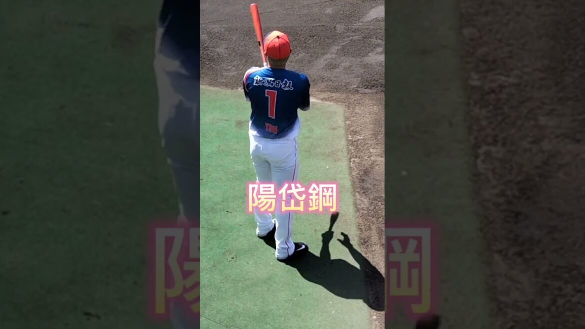 #陽岱鋼 選手が見れた👏 #オイシックス #新潟アルビレックス #プロ野球 #shorts