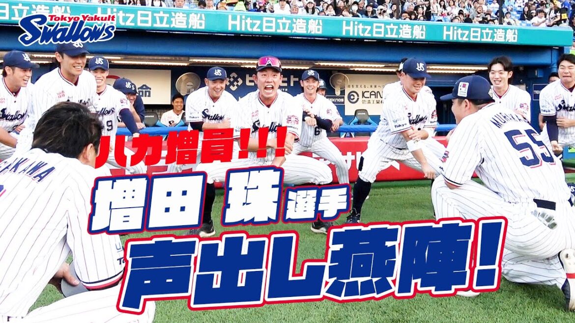 【360度動画】ハカ増員！！増田珠選手の声出し燕陣（円陣）2024年5月4日 東京ヤクルトスワローズvs中日ドラゴンズ