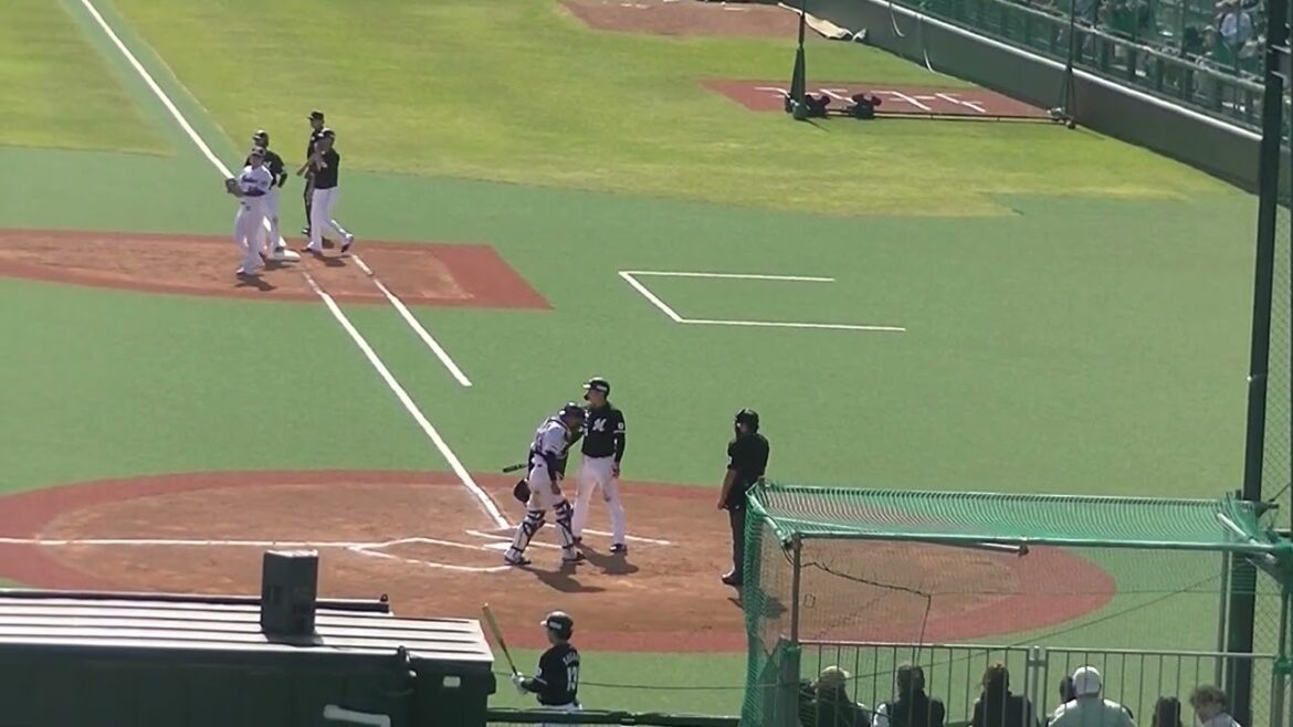 高卒1年目 寺地隆成がタイムリーヒットを放つ【ヤクルトスワローズ対 千葉ロッテマリーンズ イースタン2024年4月19日】