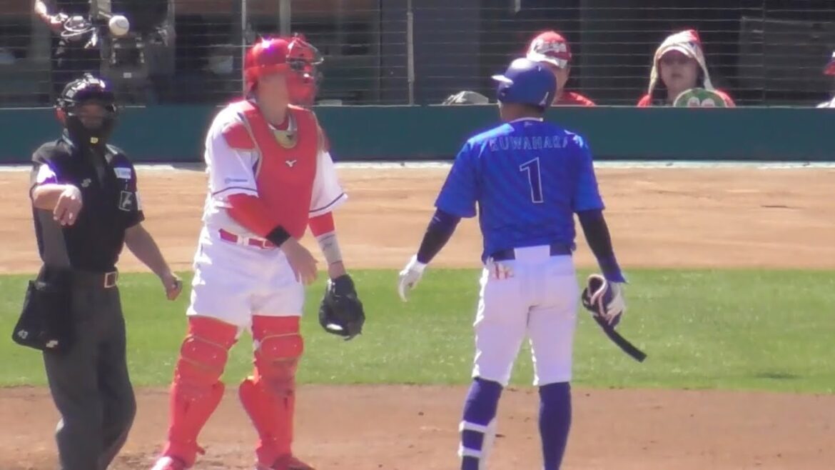 横浜桑原に死球、すぐさま會澤が寄り添う！桑原の応対が紳士すぎる！2024年5月4日