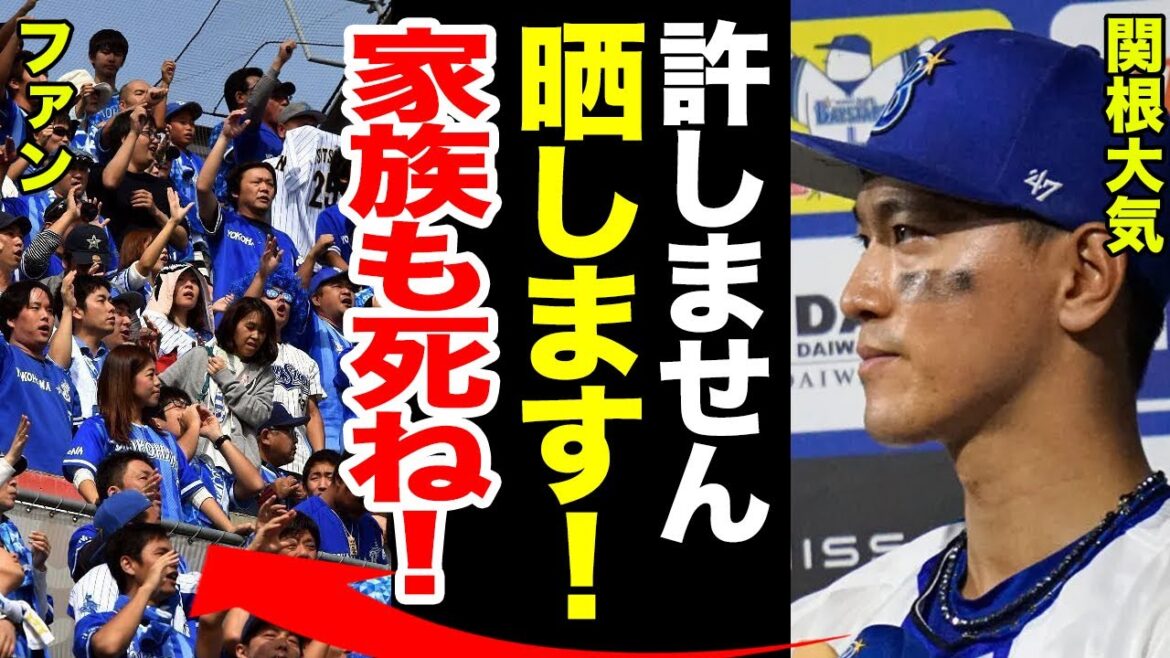 関根大気がDeNAファンにブチギレ投稿！「あなたの家族全員死んでほしい...」誹謗中傷を恐れる野球選手の本音とは...【プロ野球】【NPB】