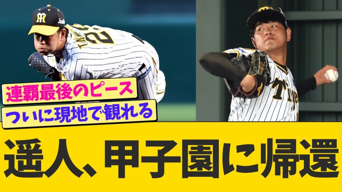 高橋遥人、甲子園に帰ってくる【なんJ プロ野球反応】