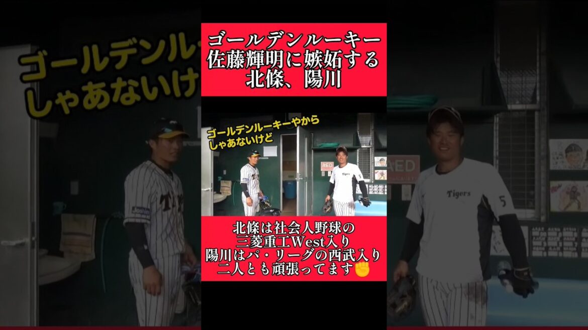 【阪神】ゴールデンルーキー佐藤輝明に嫉妬する北條と陽川！ #阪神 #阪神タイガース #佐藤輝明 #北條史也 #陽川尚将  #shorts