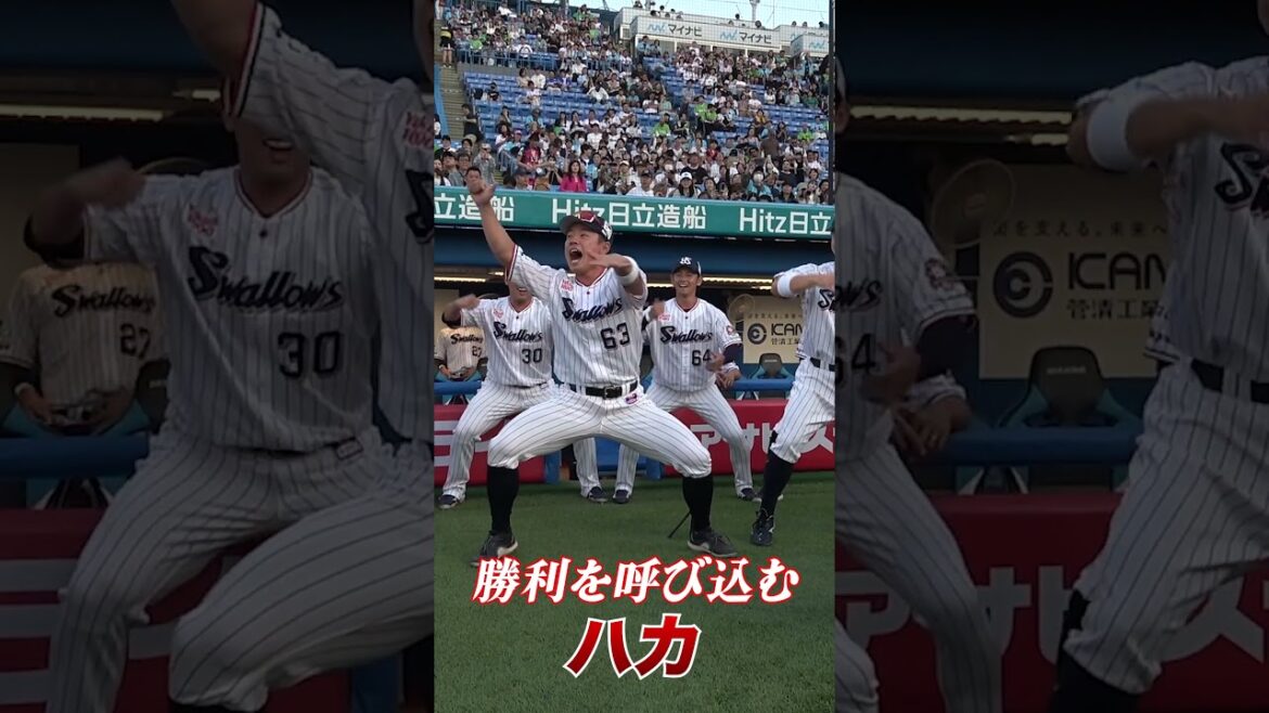 【ハカの仕掛け人】増田珠選手が全身全霊のハカでチームを鼓舞！#swallows  #shorts  #swallows #ヤクルト #東京ヤクルトスワローズ