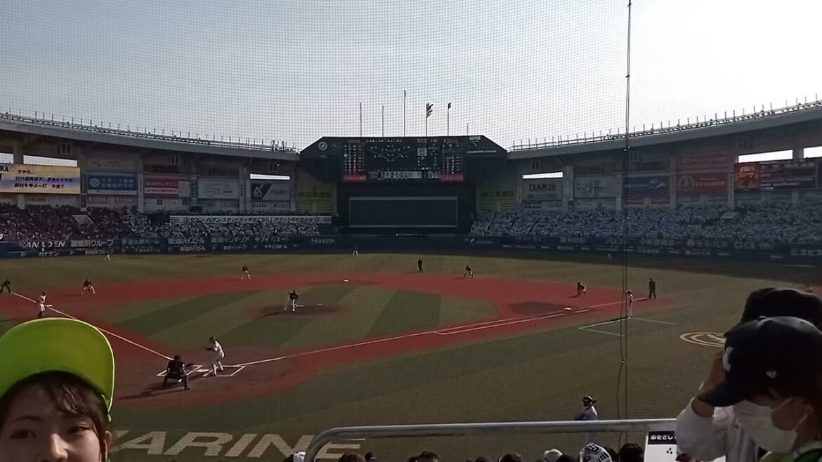 千葉ロッテマリーンズvs楽天　岡大海タイムリー3塁打　2024.4.28　応援