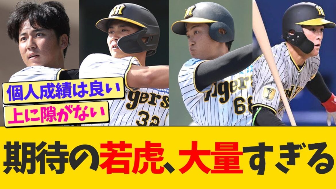 【朗報】阪神、若手有望株が大量すぎるwwww【ポジ限界突破】【なんJ プロ野球反応】