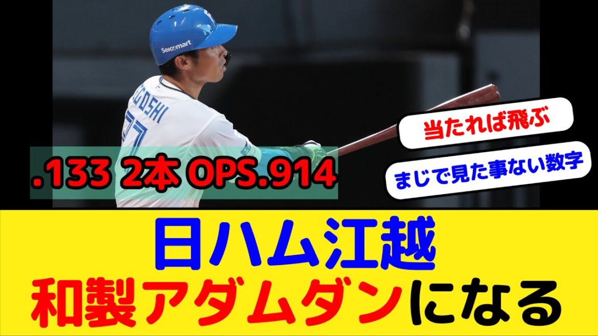 日ハム江越　和製アダムダンになる