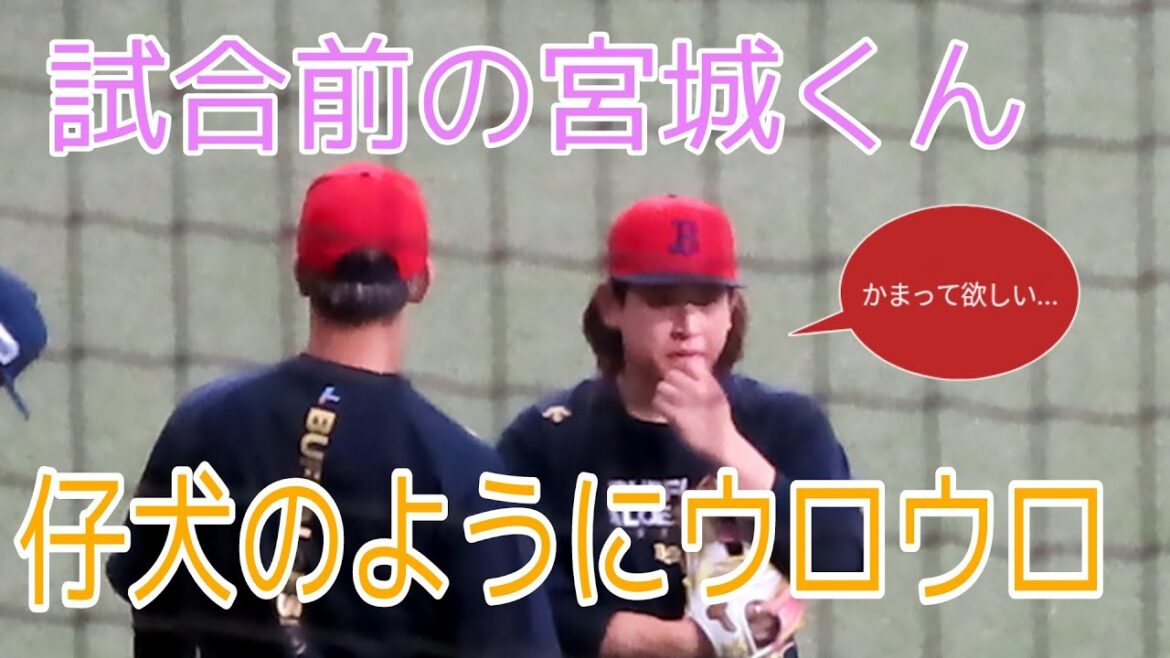 【宮城大弥】試合前練習での様子が可愛すぎる♪