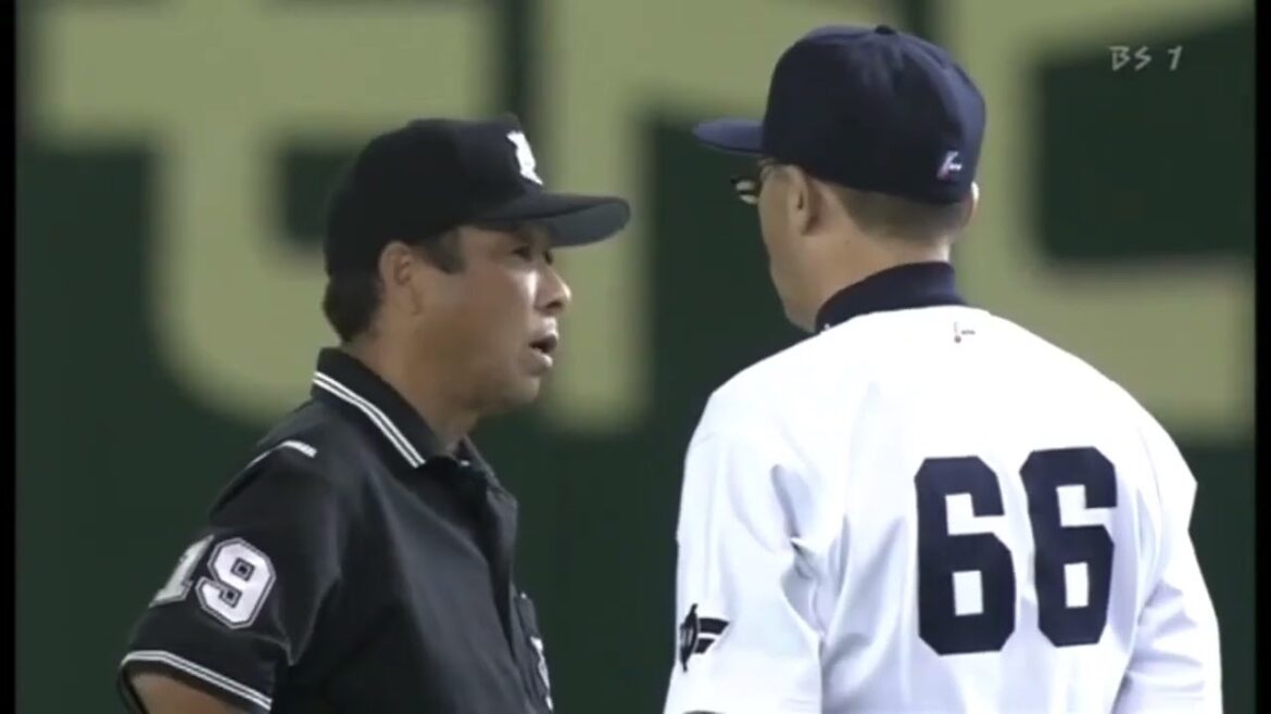 落合博満 2010年巨人戦 落合監督の抗議から退場までをひたすら追った映像です。