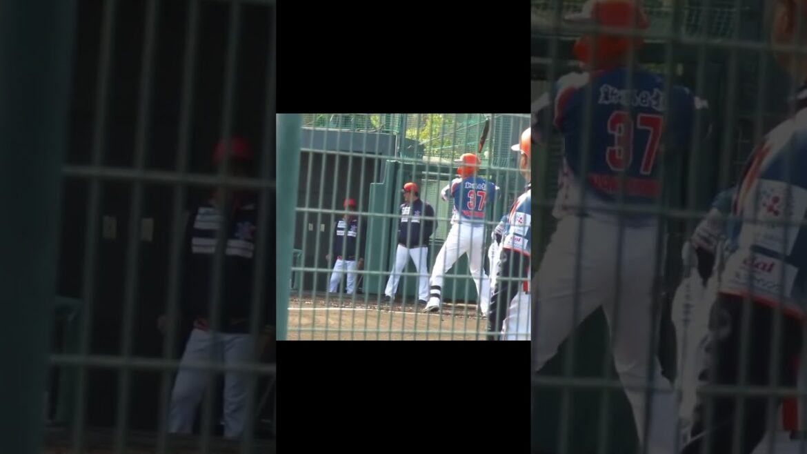 【オイシックス】中山翔太の打撃フォーム2024年3月7日 春季教育リーグロッテ浦和球場 千葉ロッテ対 オイシックス新潟アルビレックスBC