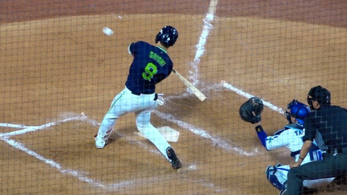 途中出場でしっかりとタイムリーヒットを放つ塩見泰隆！東京ヤクルトスワローズ 2024/05/06