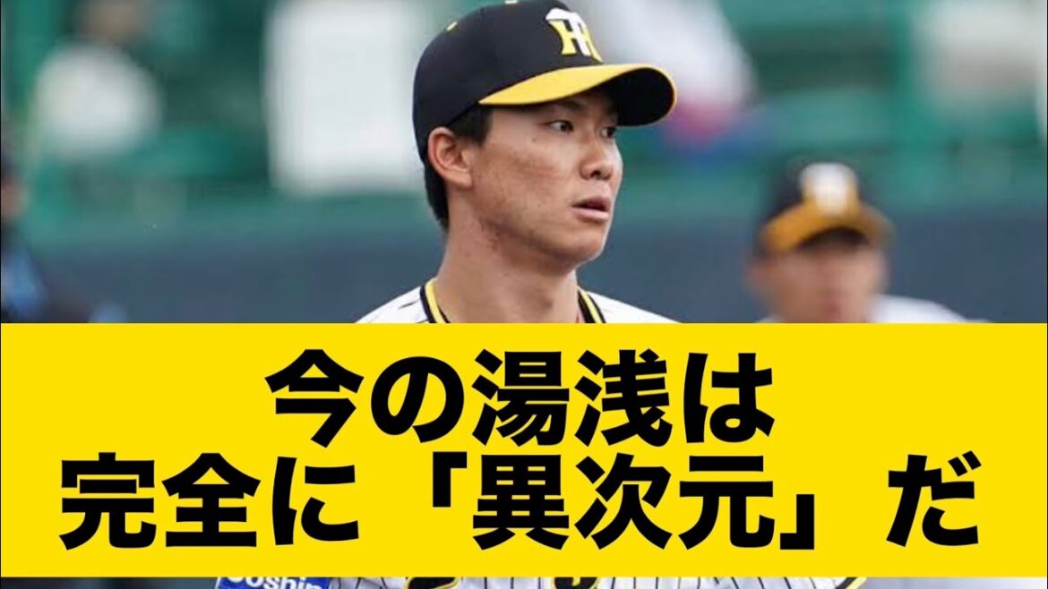 今の湯浅は完全に「異次元」だ 今の湯浅は完全に「異次元」だ