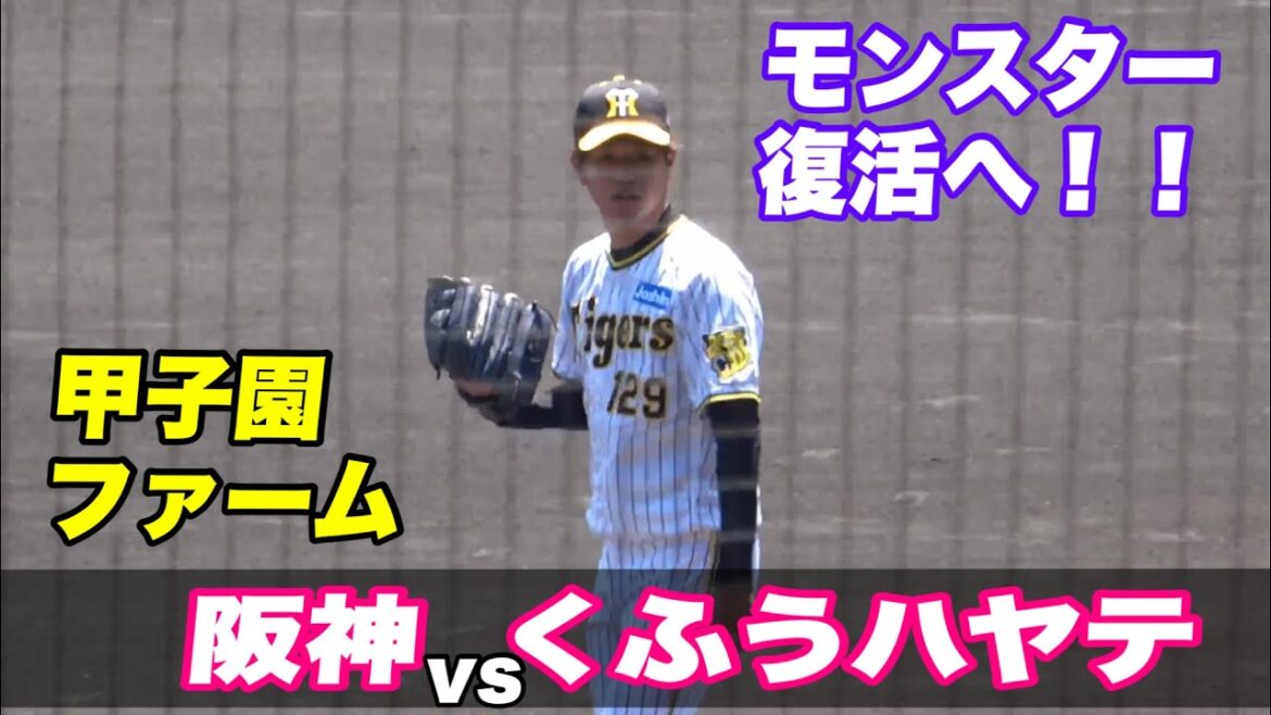 【髙橋遥人の甲子園復帰戦で多くの観客が！！打線も14安打8得点と子虎打線爆発！！】2軍 阪神対くふうハヤテ