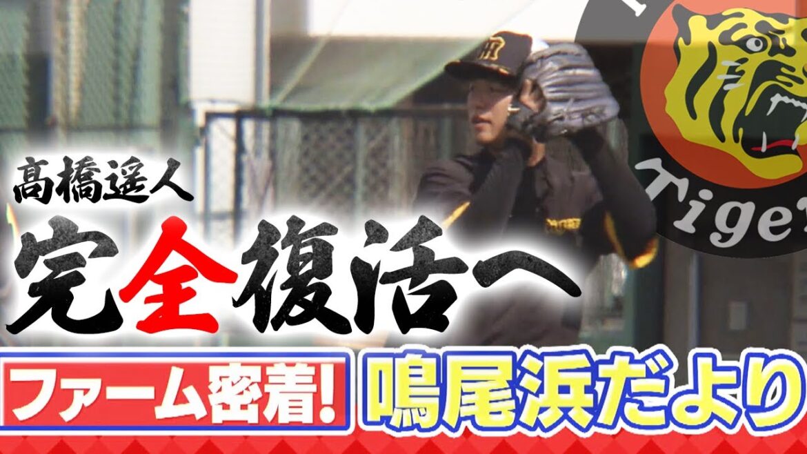 【鳴尾浜だより】ファームで牙を研ぐ虎戦士に独占インタビュー/髙橋遥人・及川雅貴・山田脩也