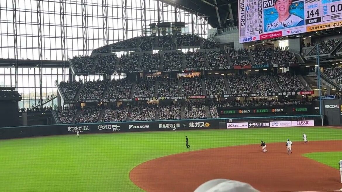 2024.04.28 日本ハムvsオリックス　若月健矢　犠牲フライで勝ち越し！
