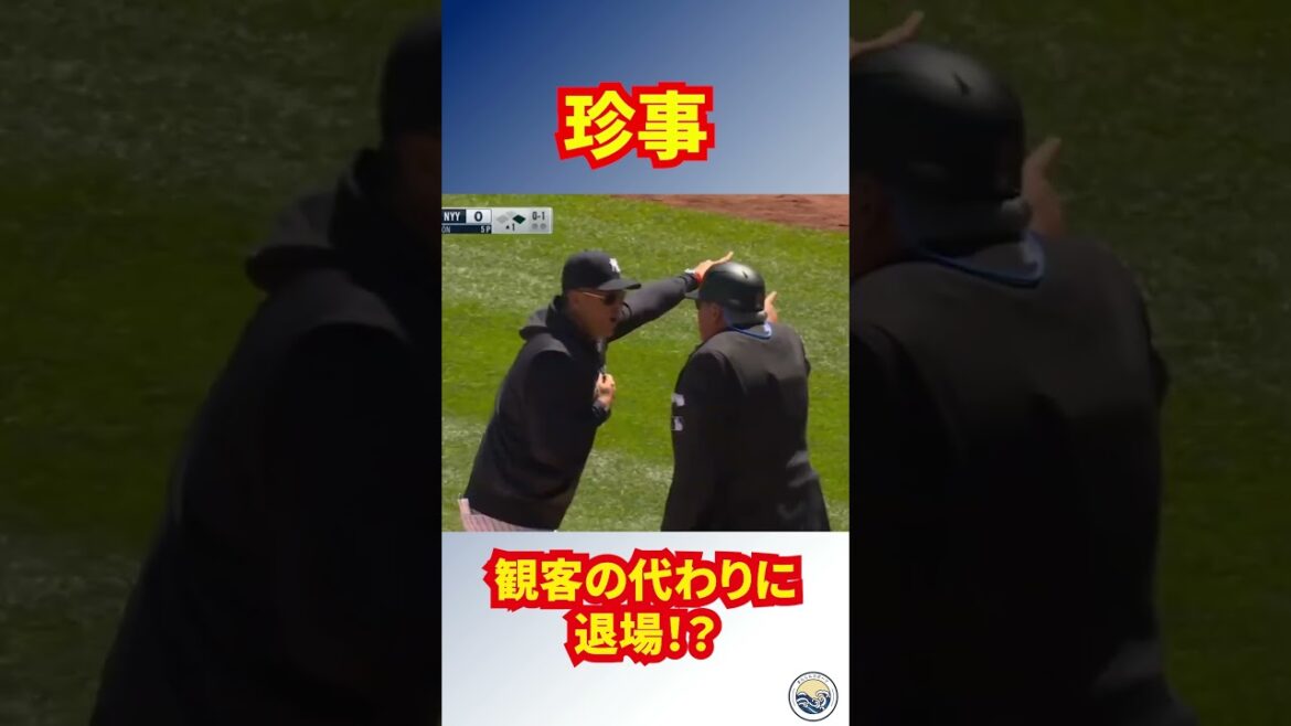 観客が審判に文句を言い、審判が勘違いをして退場させられるヤンキースのブーン監督　#MLB #ヤンキース#yankees