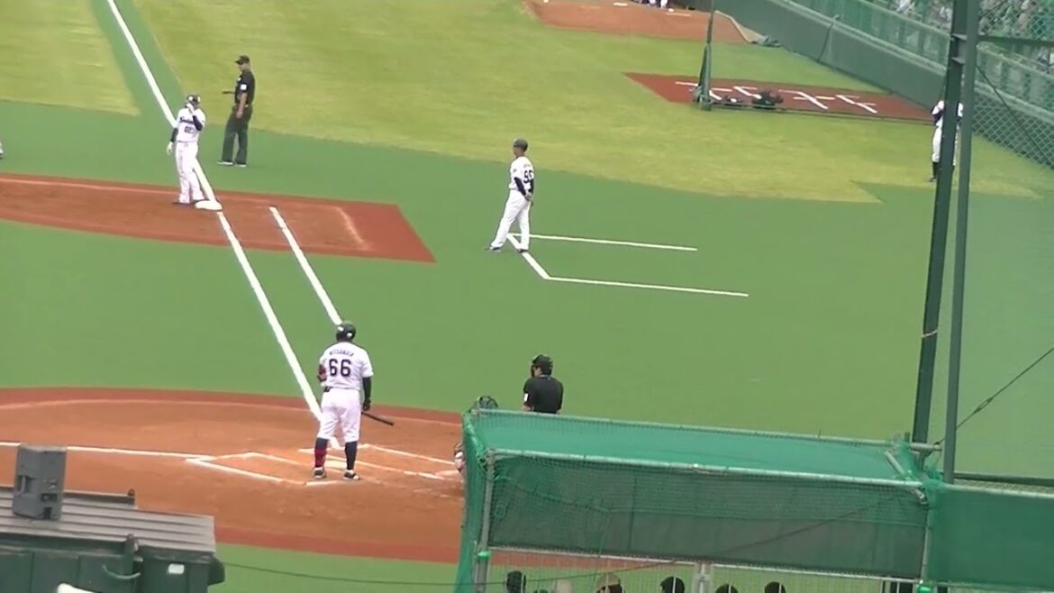 三ツ俣大樹を三振にとる松井颯（ヤクルトスワローズ対 読売ジャイアンツ2024年5月6日）