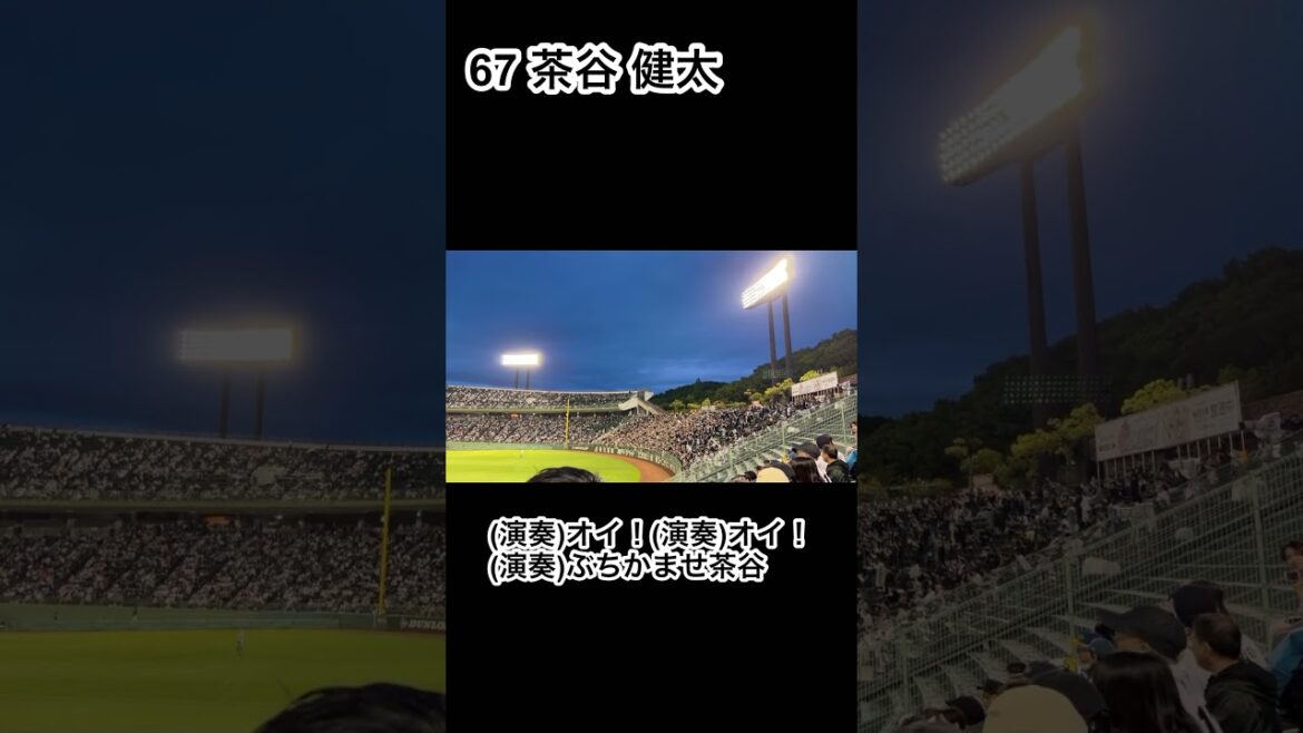 千葉ロッテマリーンズ茶谷健太応援歌 #プロ野球 #応援歌 #茶谷健太 #千葉ロッテマリーンズ #オリックスバファローズ