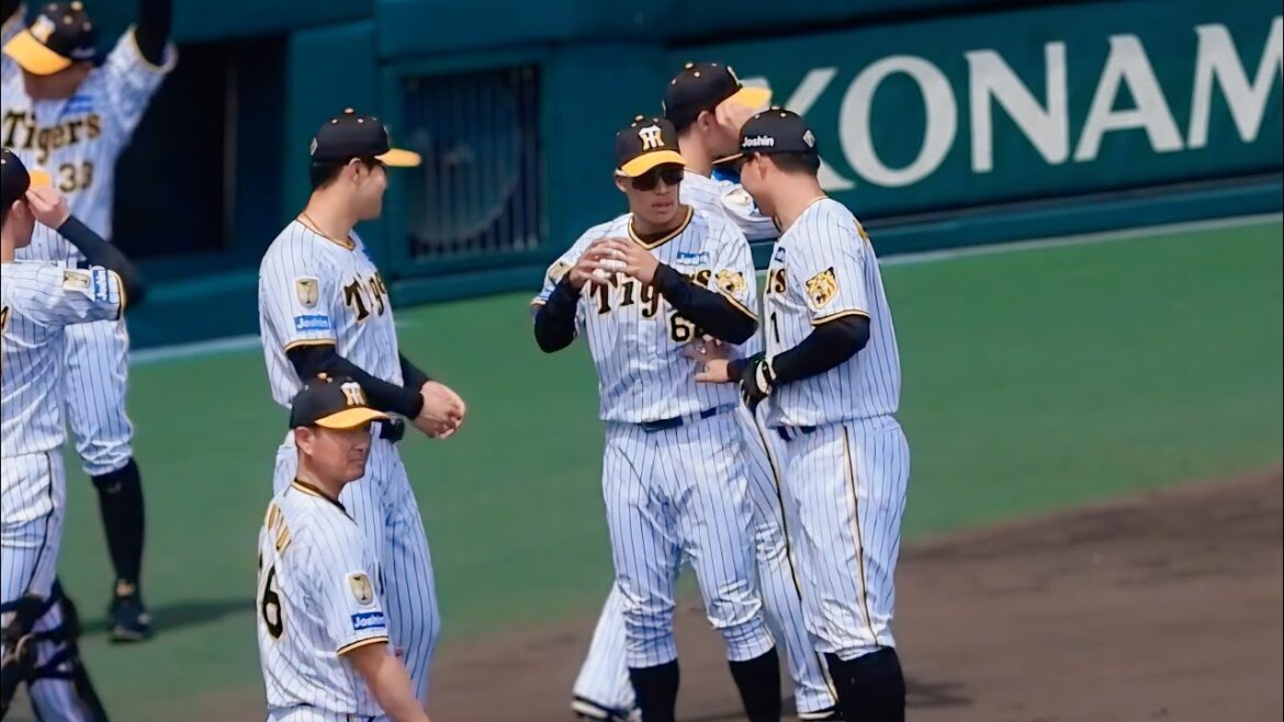 【効いたわ…】森下翔太からみぞおちに突かれダメージ受ける植田海 2024.4.28