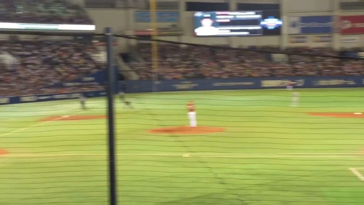 2017年 オールスター チャンステーマ(藤本)