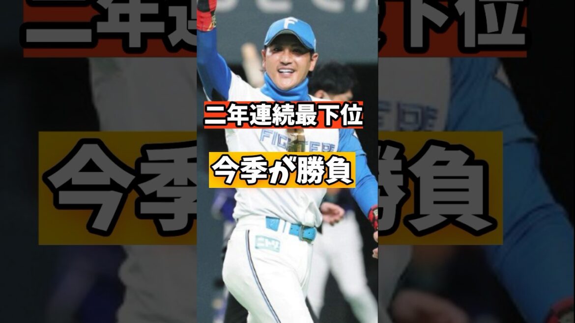 【5連勝】2年連続最下位の日ハム、今年はガチで強い！？！？ #shorts