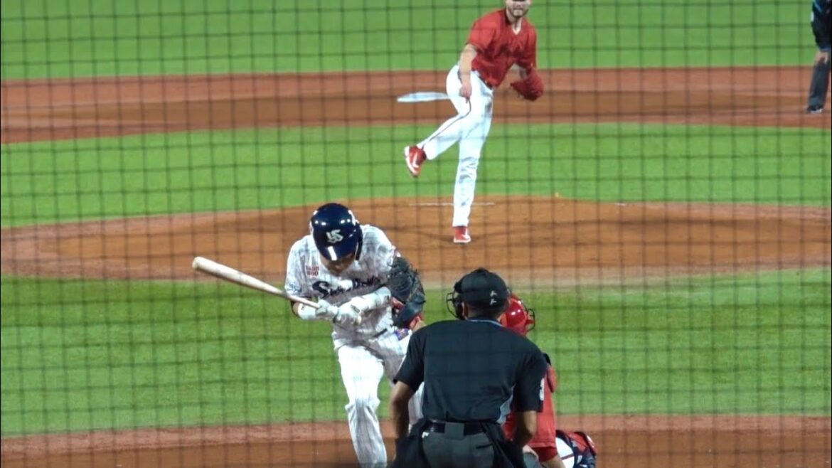 ハッチの投球が中村悠平の背中に直撃！何事もないことを祈ります… 東京ヤクルトスワローズ 2024/04/25 デッドボール