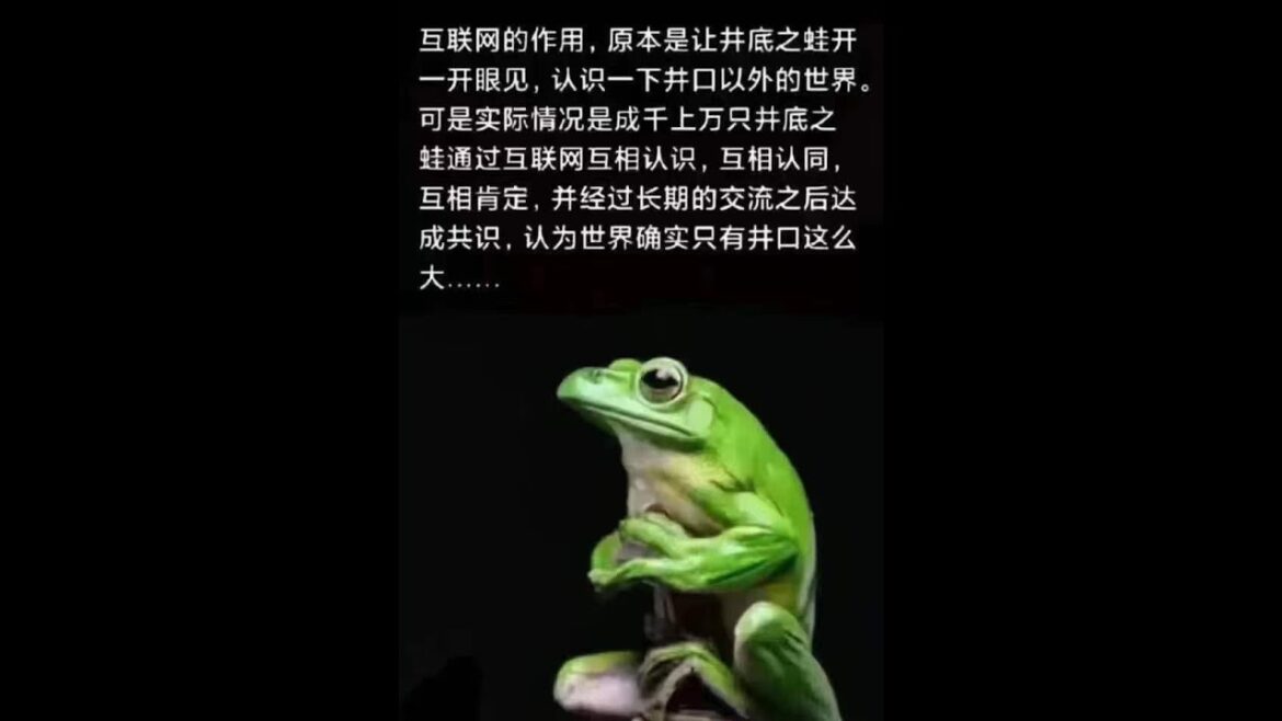 2456冬哥辣评：我很荣幸当搬运工，给大家推荐一位国内说实话有担当的老哥。我信任