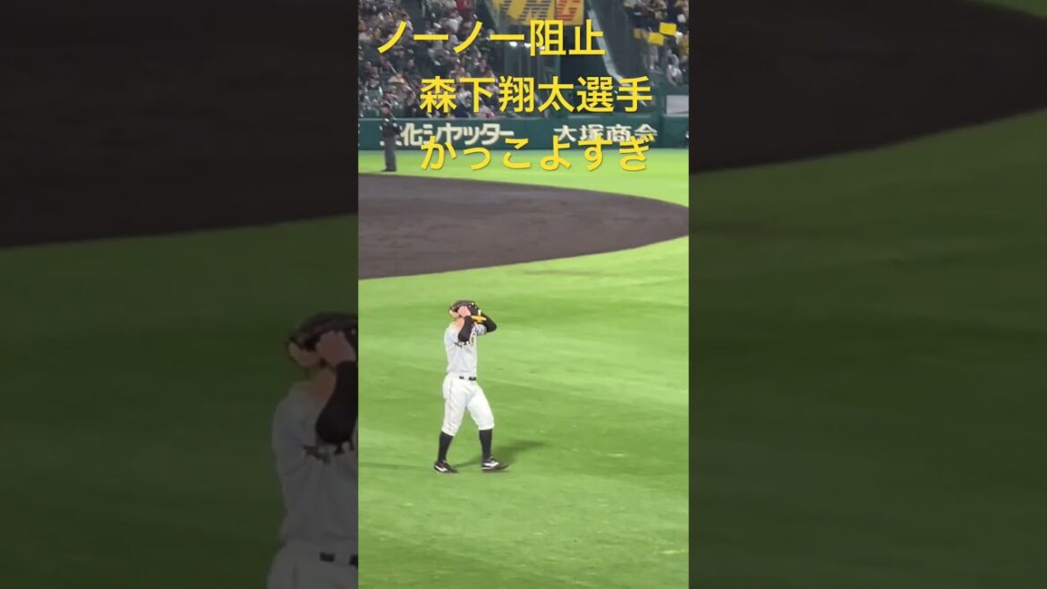 #阪神甲子園球場
