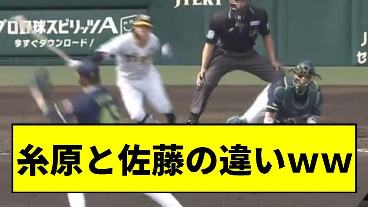 【阪神】糸原と佐藤の決定的な違いがこちらｗｗｗｗｗ【2chスレ】