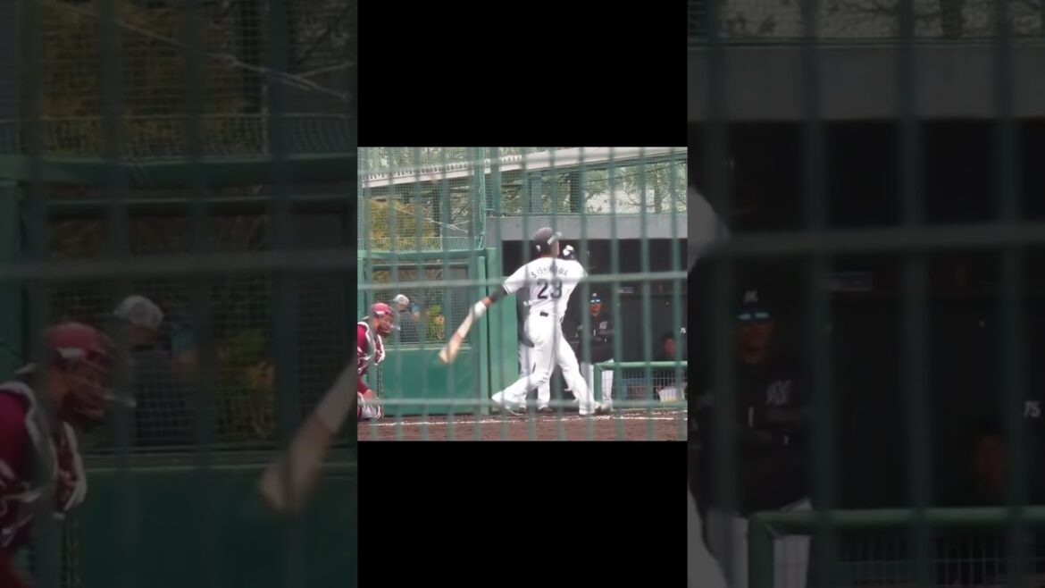 【マリーンズ】石川 慎吾の打撃フォーム2024年3月5日 春季教育リーグロッテ浦和球場 千葉ロッテ対 楽天イーグルス