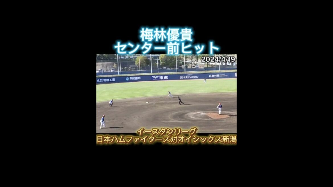 【2024/4/19】 #梅林優貴 、センター前ヒット #shorts #プロ野球 #北海道日本ハムファイターズ #fighters