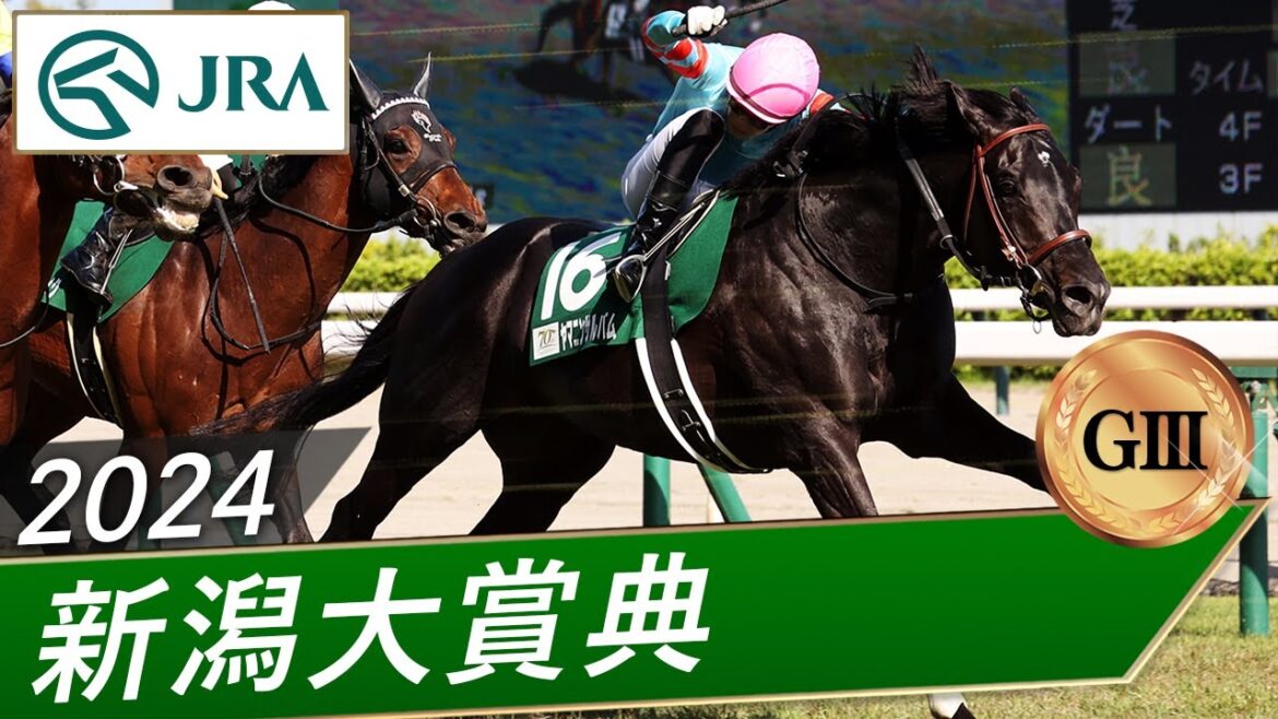 2024年 新潟大賞典(GⅢ) | ヤマニンサルバム | JRA公式 2024年 新潟大賞典(GⅢ) | ヤマニンサルバム | JRA公式