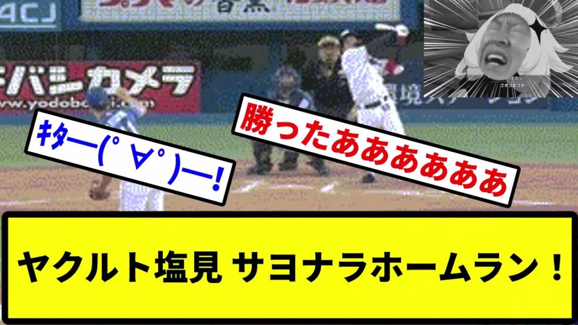 【サヨナラああああああ！！】ヤクルト塩見 サヨナラホームラン！【プロ野球反応集】【2chスレ】【1分動画】【5chスレ】